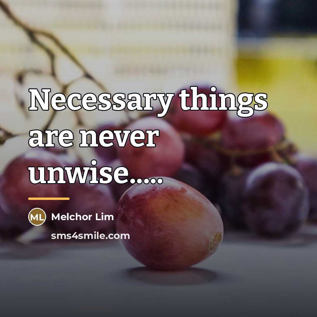 “Necessary things are never unwise.....…” quote by Melchor Lim
