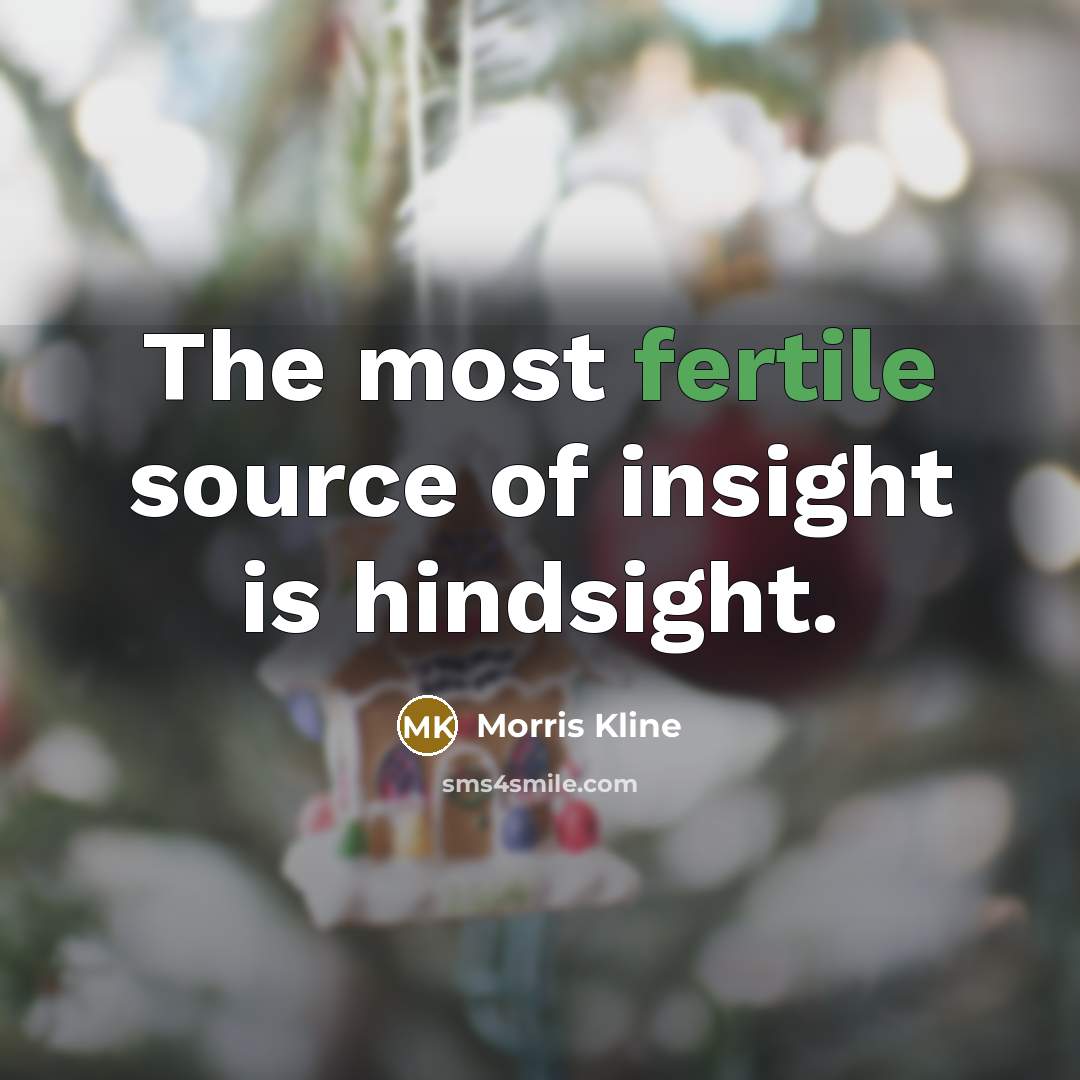 “The most fertile source of insight is hindsight.…” quote by Morris Kline
