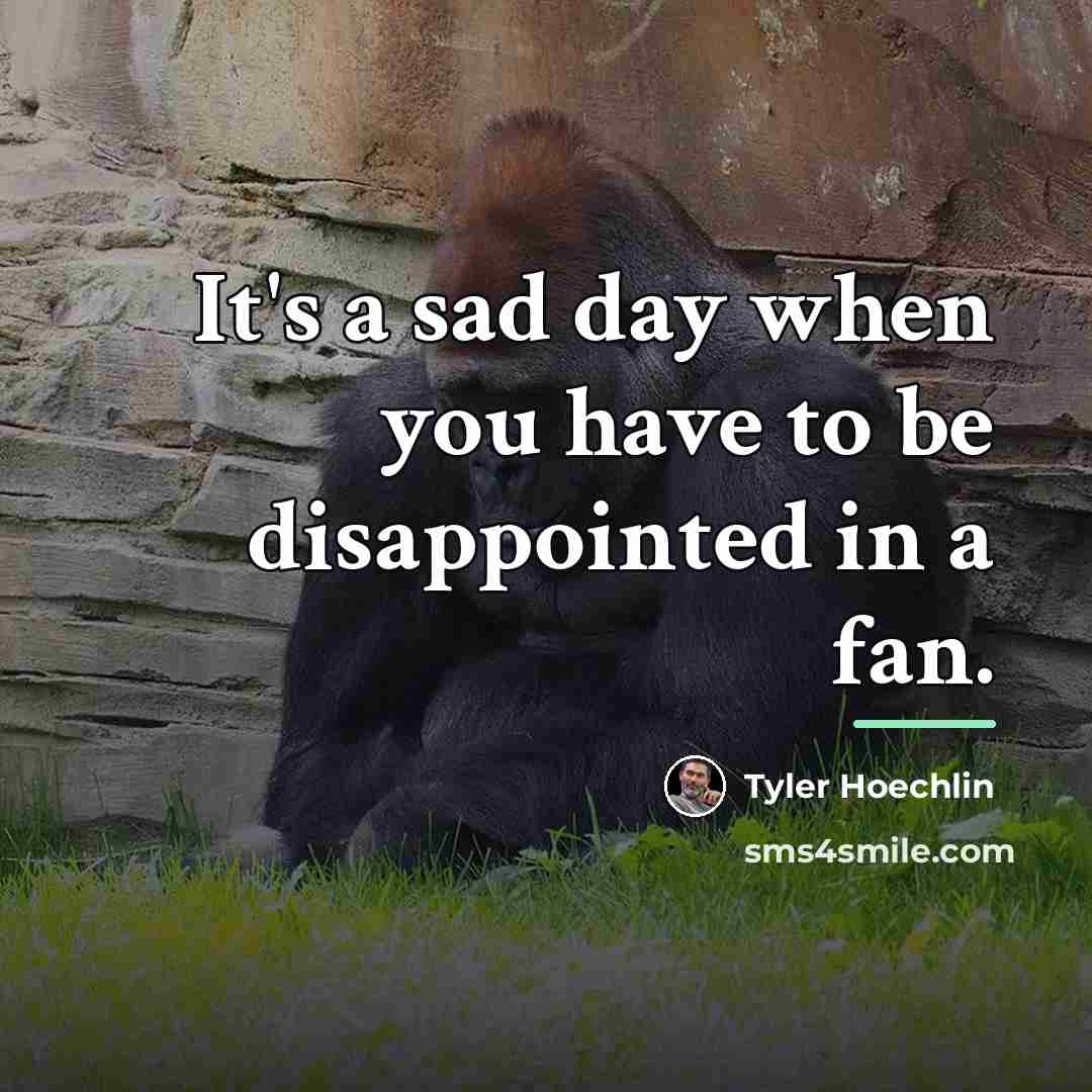 “It's a sad day when you have to be disappointed…” quote by Tyler Hoechlin