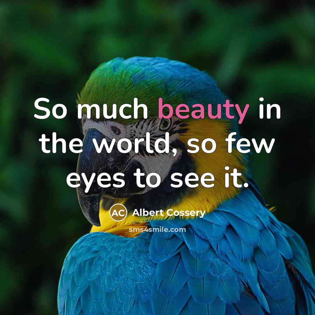 “So much beauty in the world, so few eyes to…” quote by Albert Cossery
