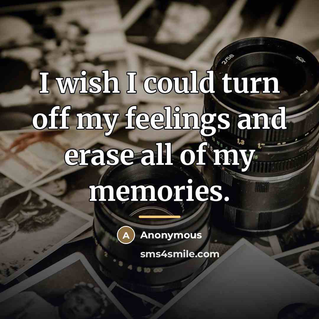 “I wish I could turn off my feelings and erase…” quote by Anonymous