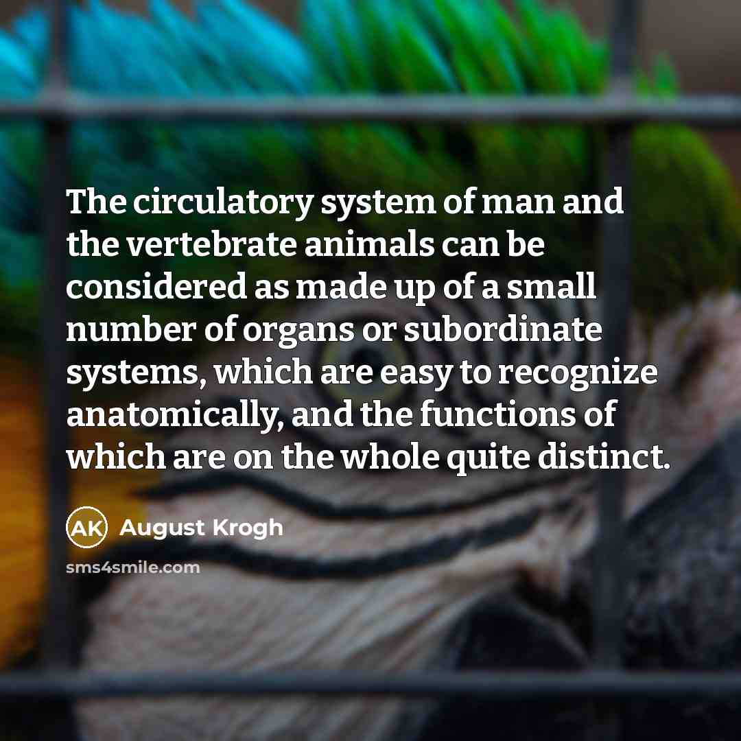 “The circulatory system of man and the vertebrate animals can…” quote by August Krogh