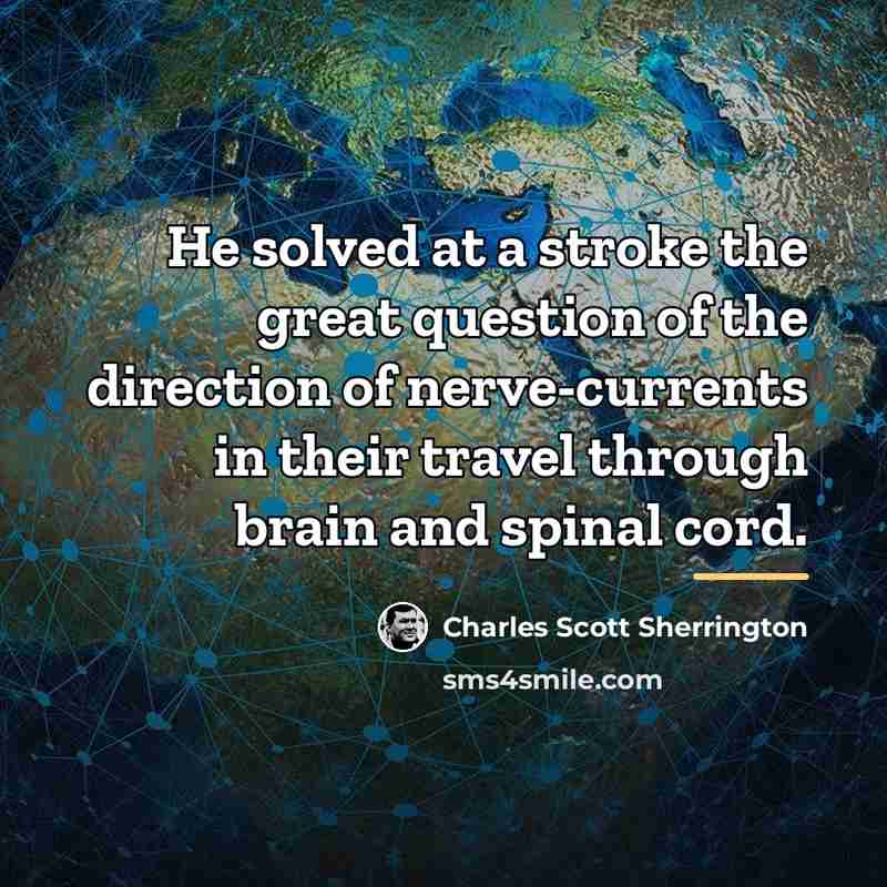 “He solved at a stroke the great question of the…” quote by Charles Scott Sherrington