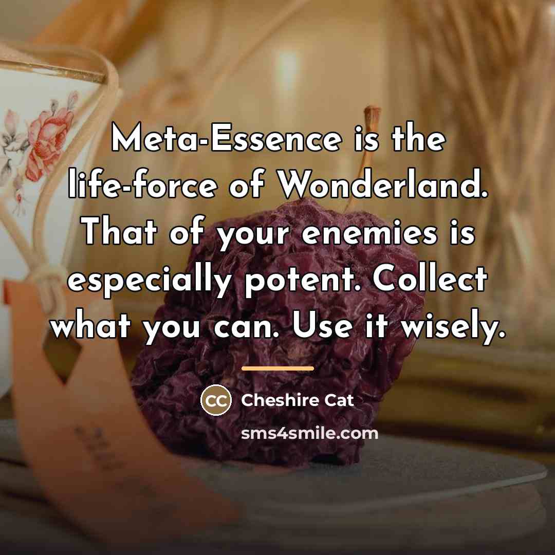 “Meta-Essence is the life-force of Wonderland. That of your enemies…” quote by Cheshire Cat