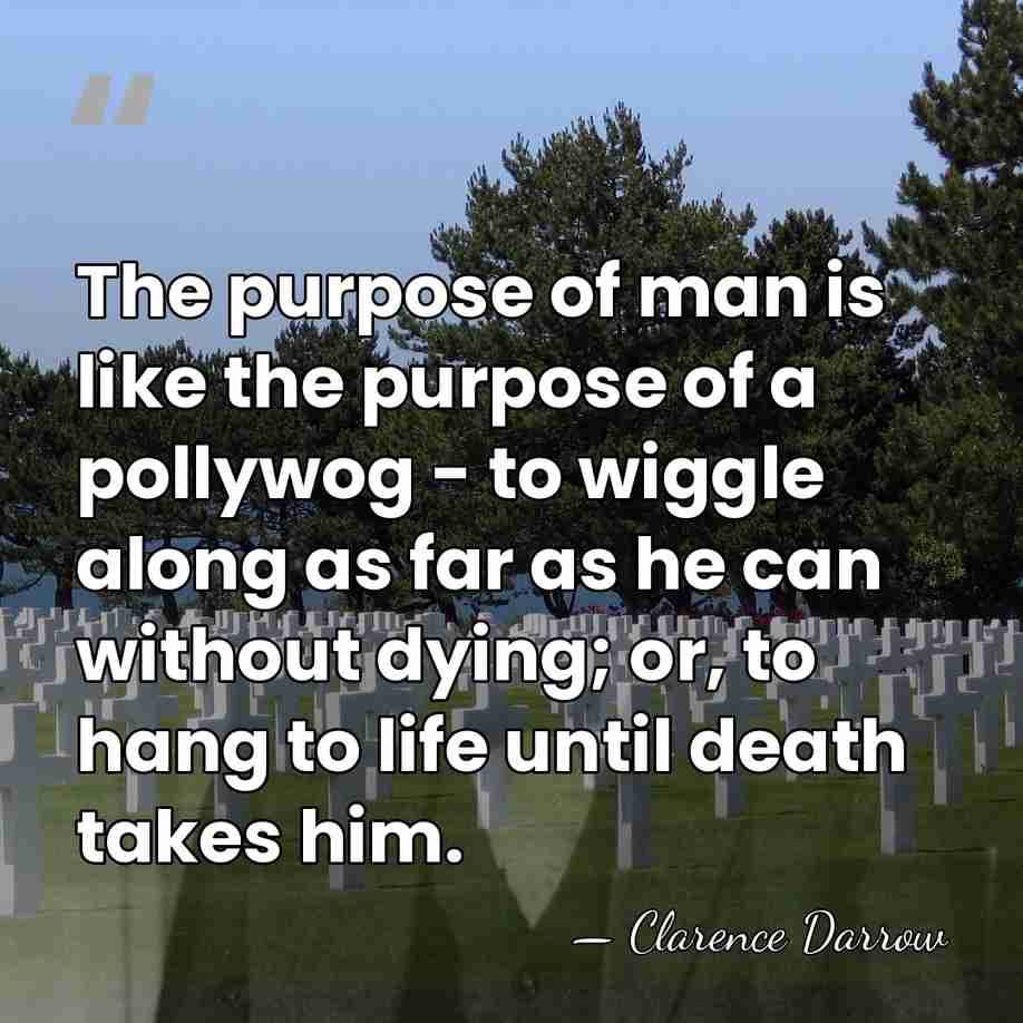 The purpose of man is like the purpose of a pollywog -&hellip; - Clarence Darrow