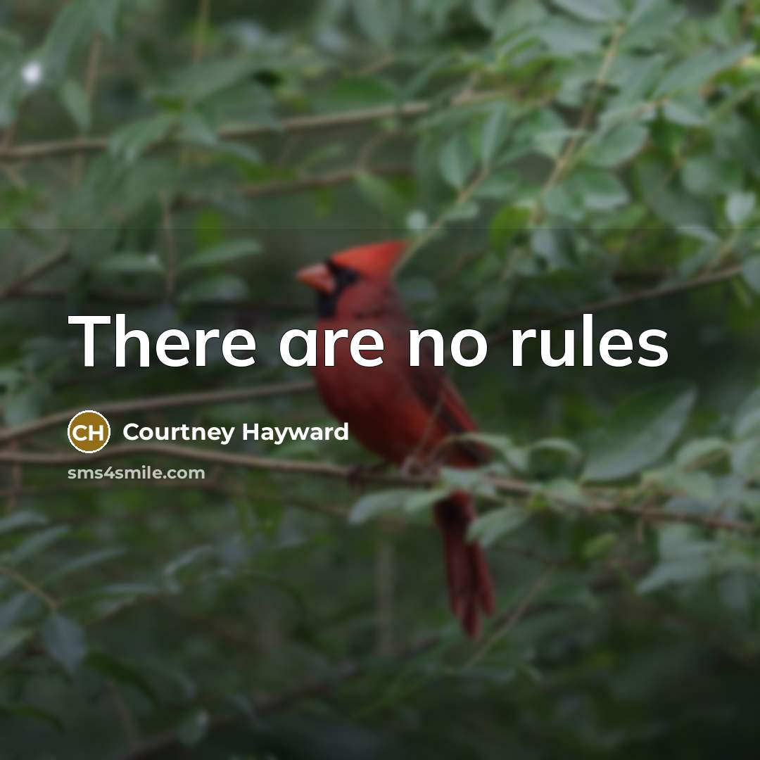 “There are no rules…” quote by Courtney Hayward