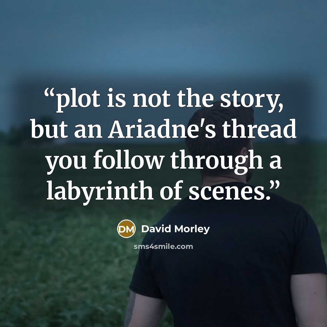 “plot is not the story, but an Ariadne's thread you follow through a labyrinth of scenes.” quote by David Morley