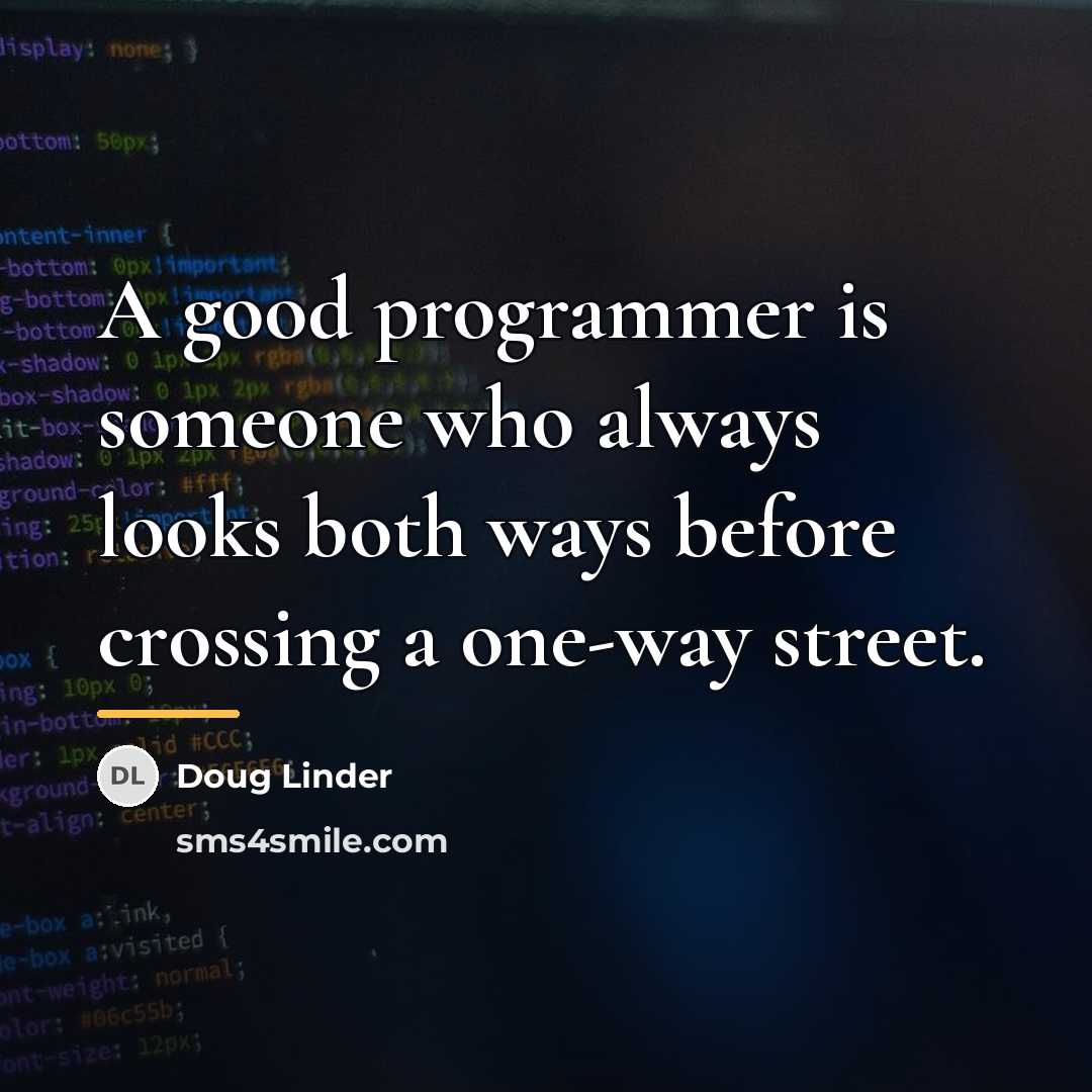 “A good programmer is someone who always looks both ways…” quote by Doug Linder
