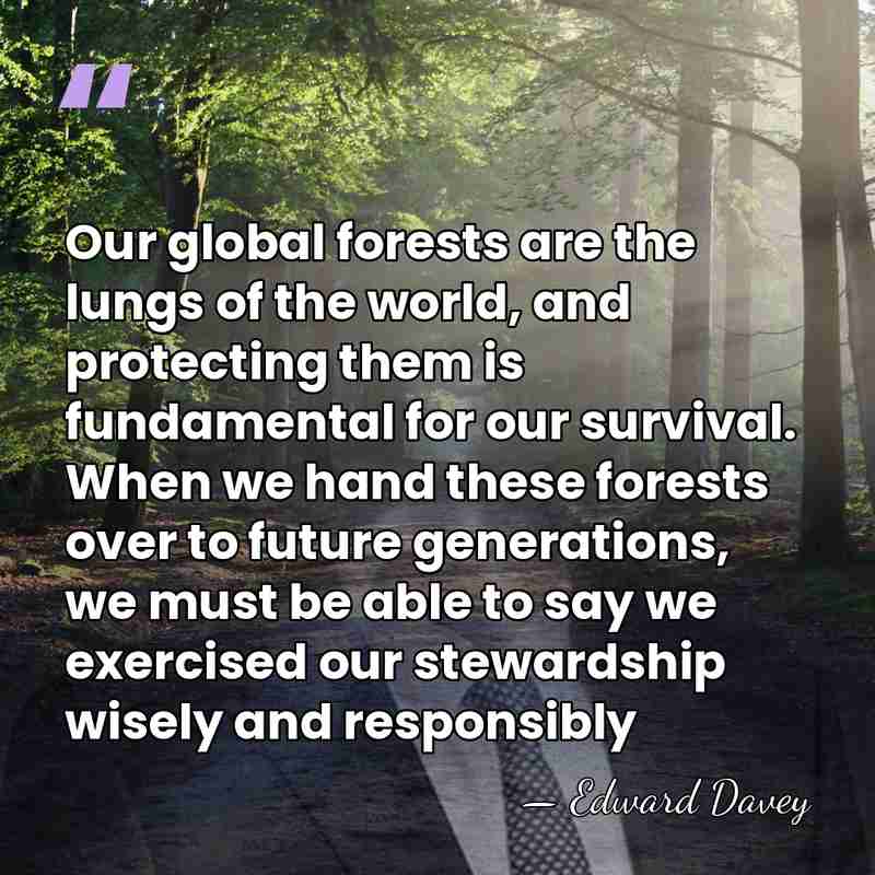 Our global forests are the lungs of the world, and protecting them&hellip; - Edward Davey
