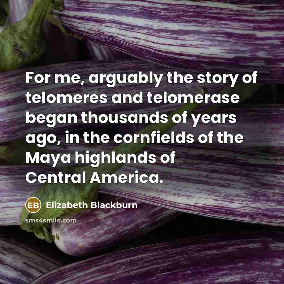 “For me, arguably the story of telomeres and telomerase began…” quote by Elizabeth Blackburn