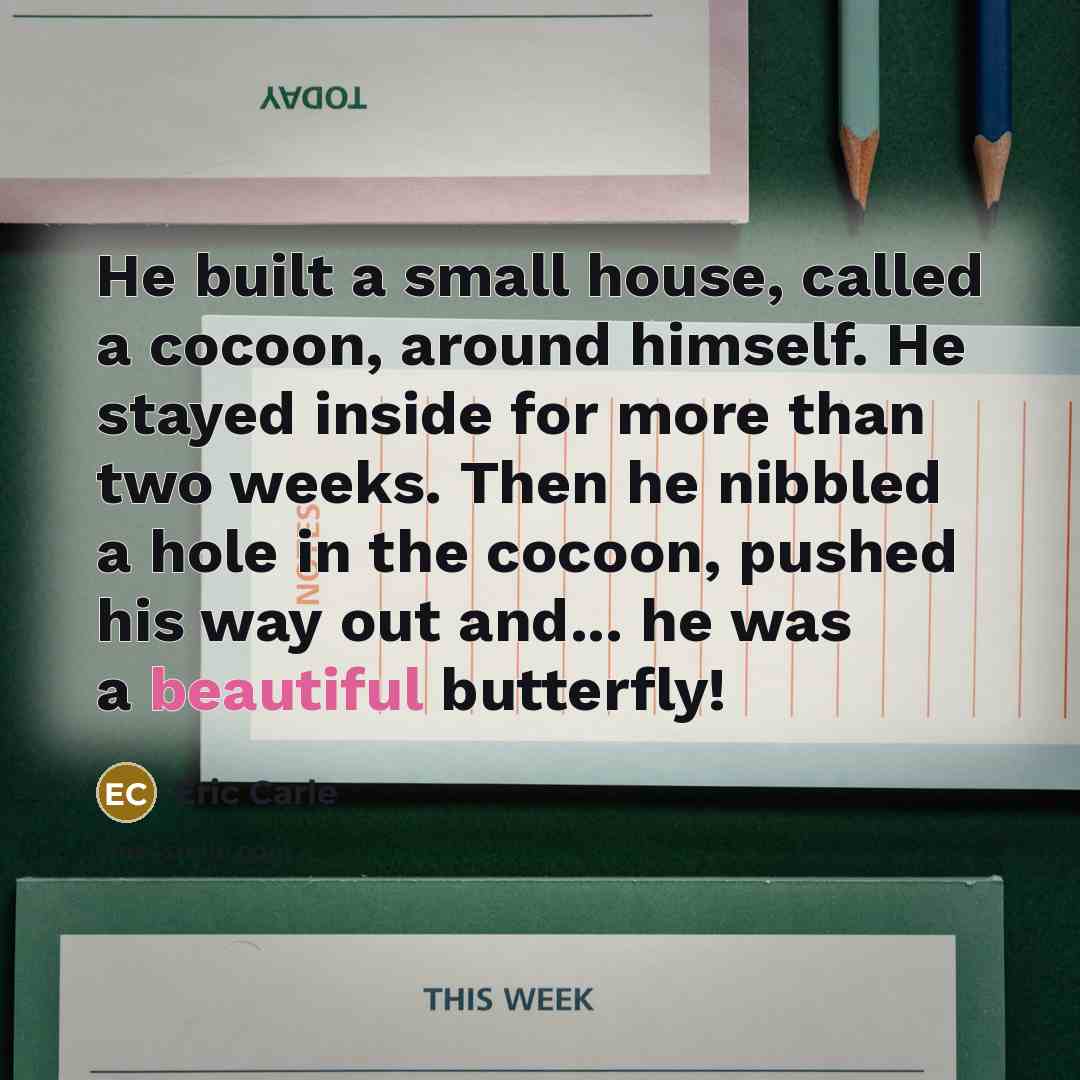 “He built a small house, called a cocoon, around himself.…” quote by Eric Carle