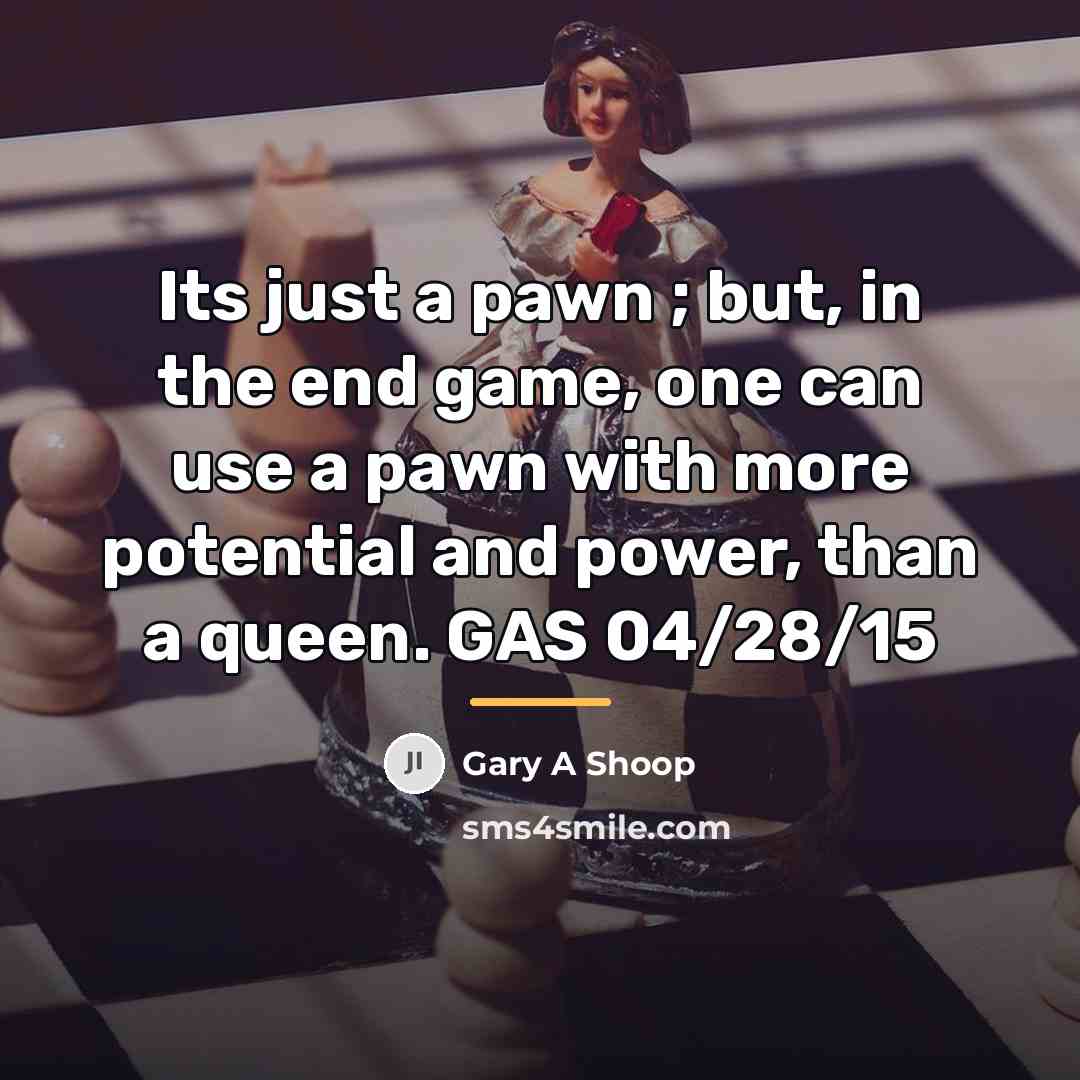 “Its just a pawn ; but, in the end game,…” quote by Gary A Shoop