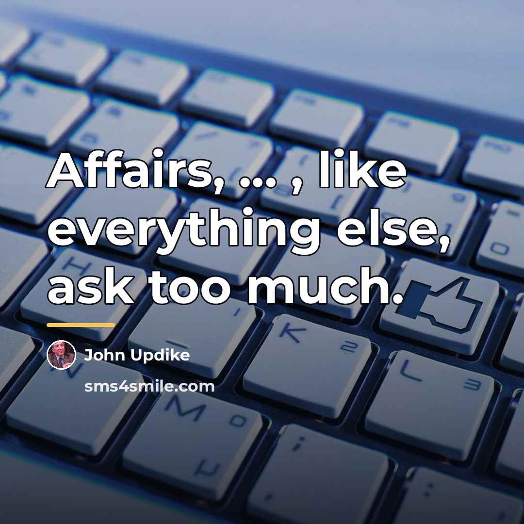 “Affairs, ... , like everything else, ask too much.…” quote by John Updike