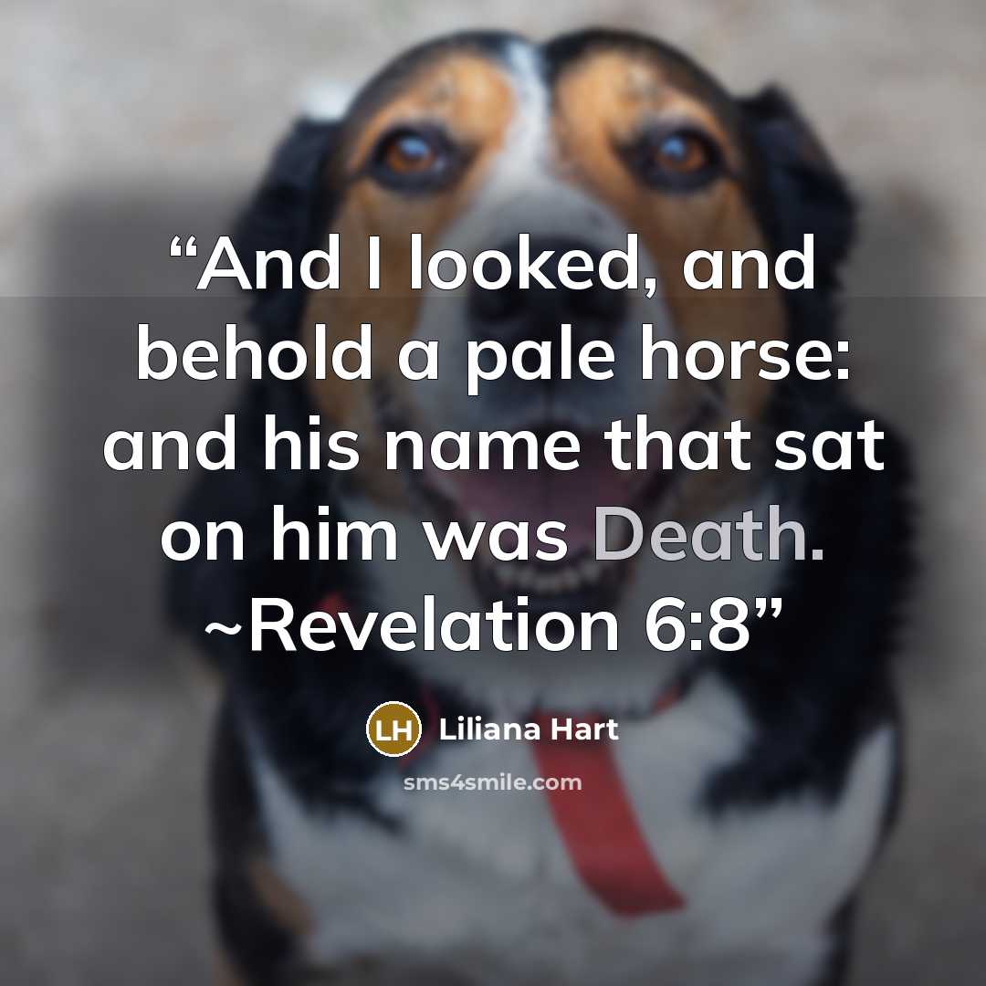 “And I looked, and behold a pale horse: and his name that sat on him was Death. ~Revelation 6:8” quote by Liliana Hart