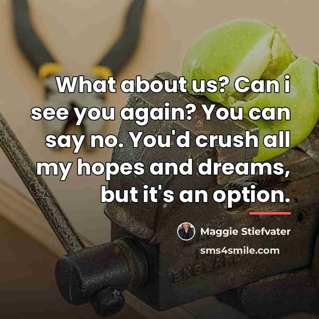 “What about us? Can i see you again? You can…” quote by Maggie Stiefvater