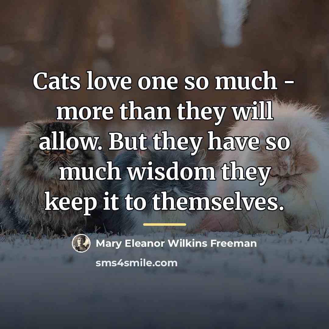 “Cats love one so much - more than they will…” quote by Mary Eleanor Wilkins Freeman