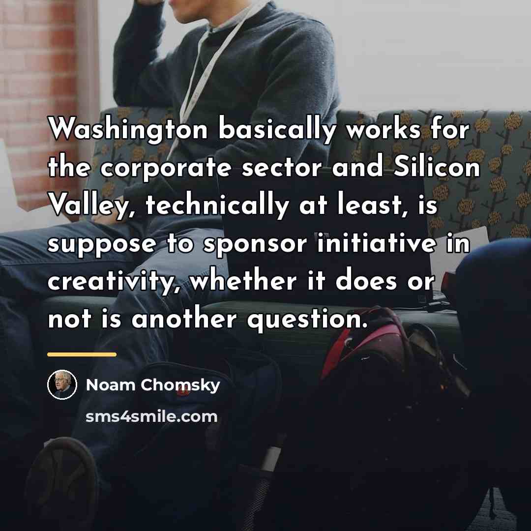 “Washington basically works for the corporate sector and Silicon Valley,…” quote by Noam Chomsky