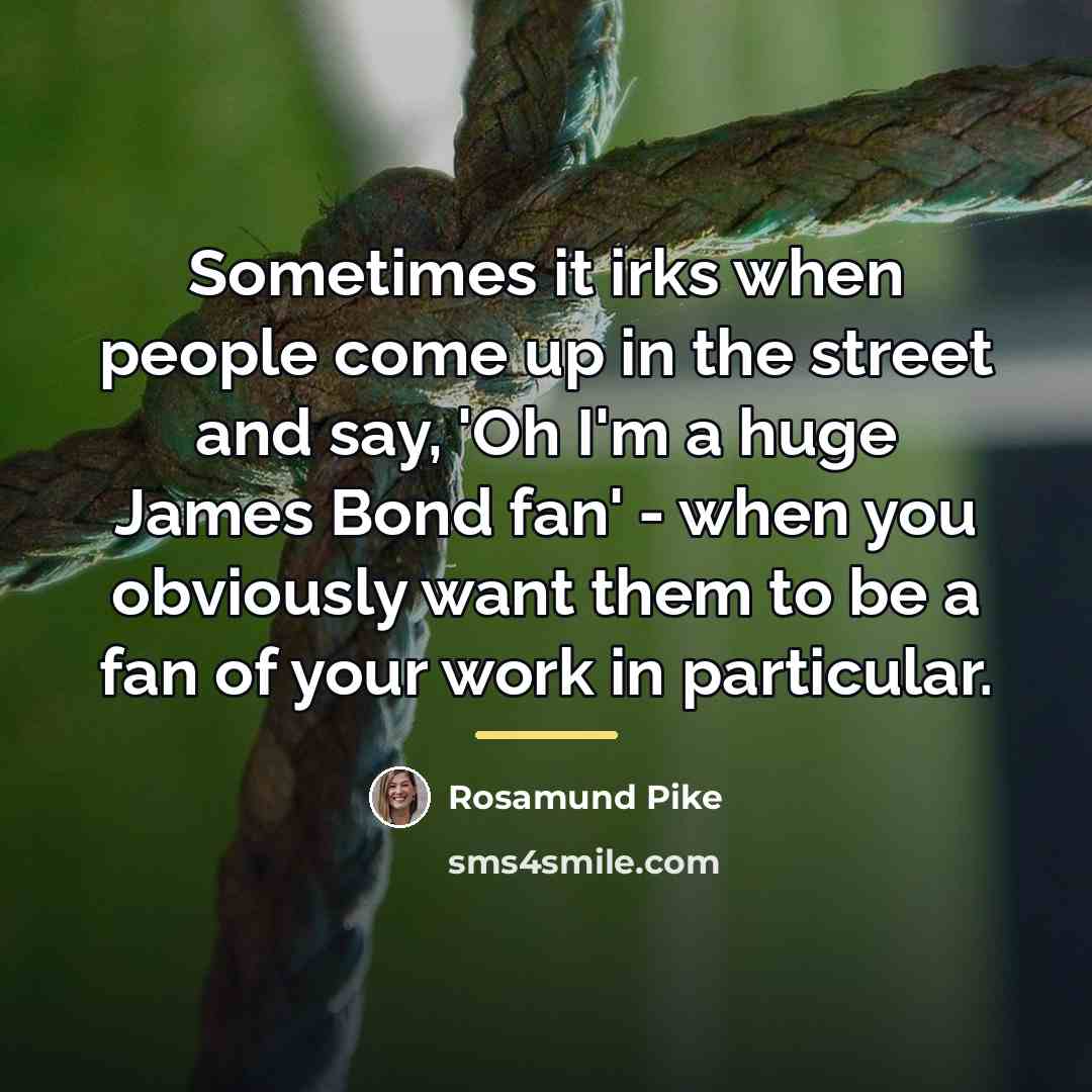 “Sometimes it irks when people come up in the street…” quote by Rosamund Pike