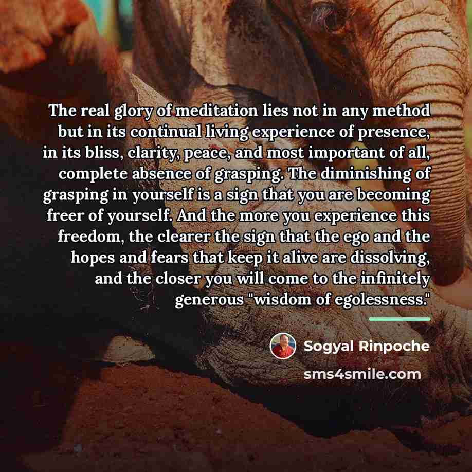 “The real glory of meditation lies not in any method…” quote by Sogyal Rinpoche
