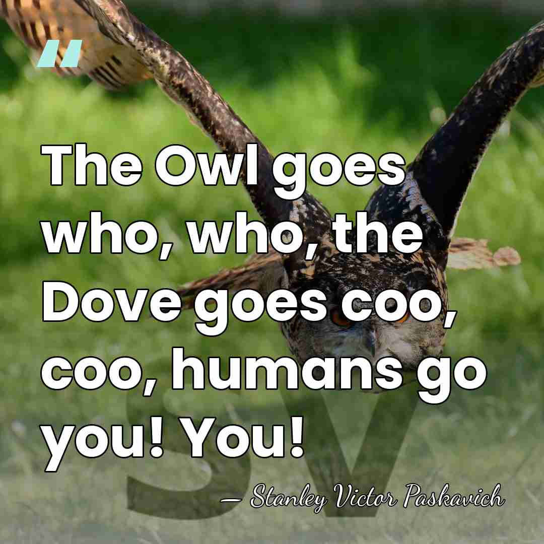 The Owl goes who, who, the Dove goes coo, coo, humans go&hellip; - Stanley Victor Paskavich