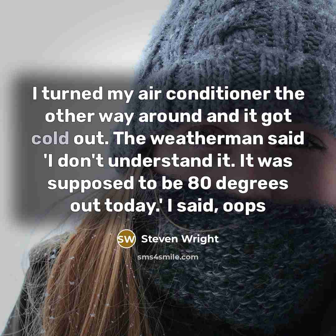 “I turned my air conditioner the other way around and…” quote by Steven Wright
