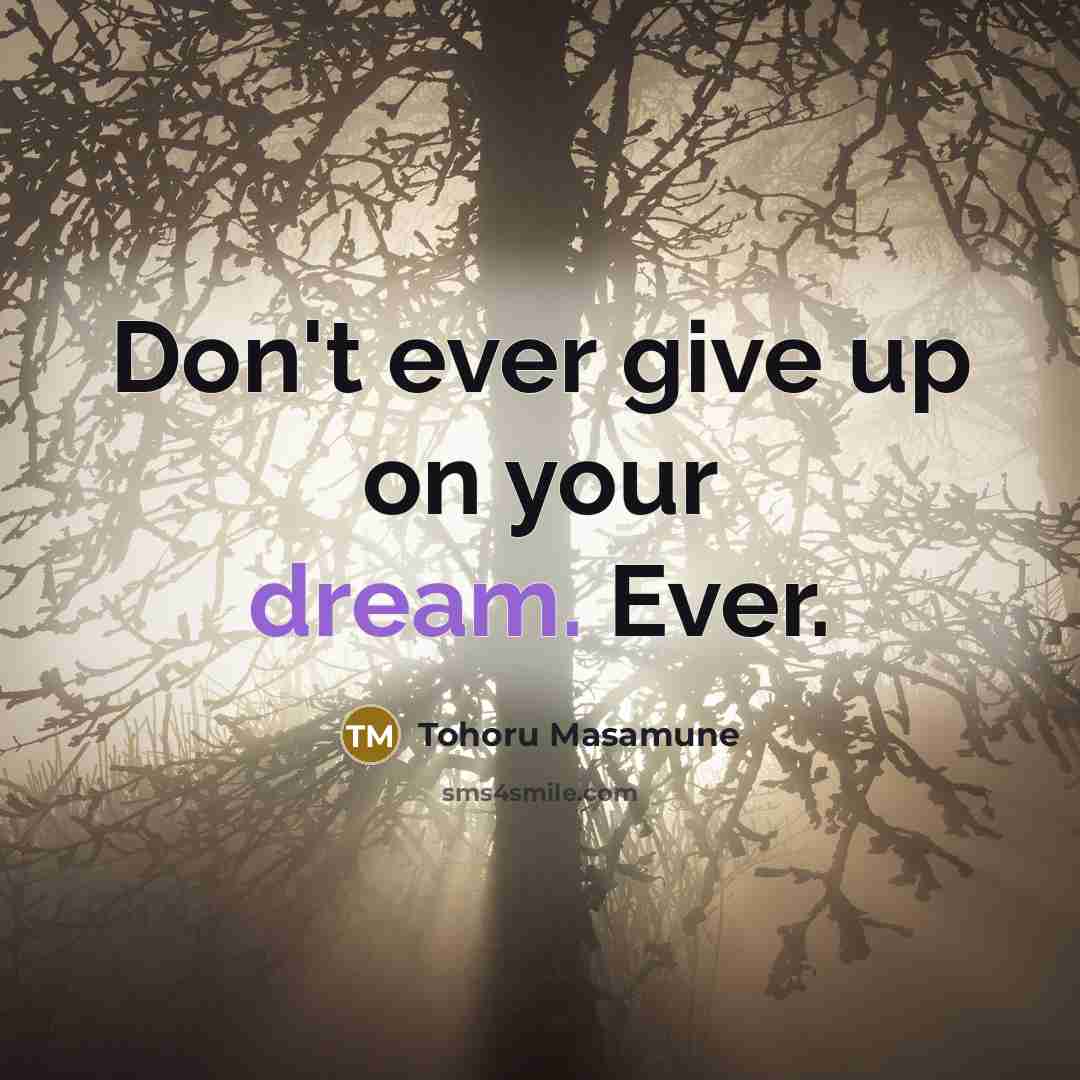 “Don't ever give up on your dream. Ever.…” quote by Tohoru Masamune