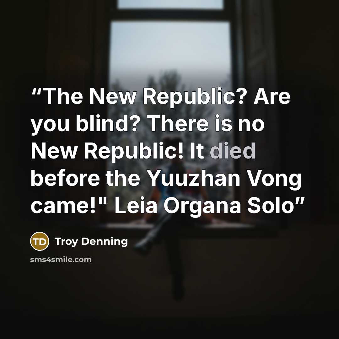 “The New Republic? Are you blind? There is no New Republic! It died before the Yuuzhan Vong came!" Leia Organa Solo” quote by Troy Denning