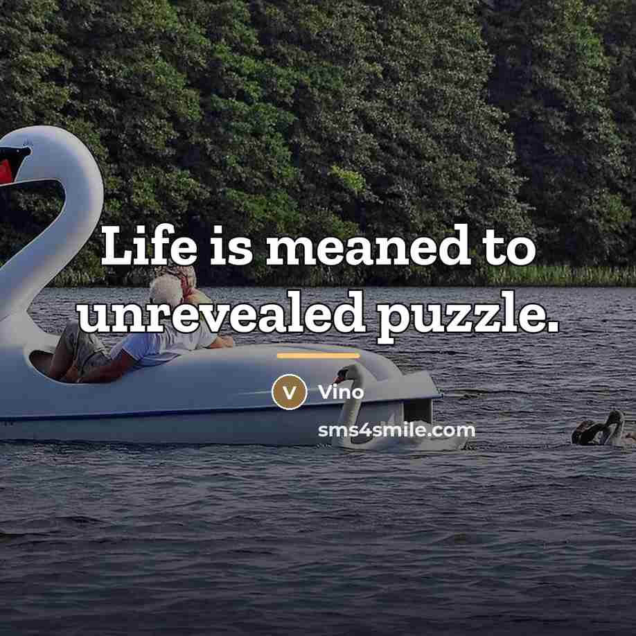 “Life is meaned to unrevealed puzzle.…” quote by Vino