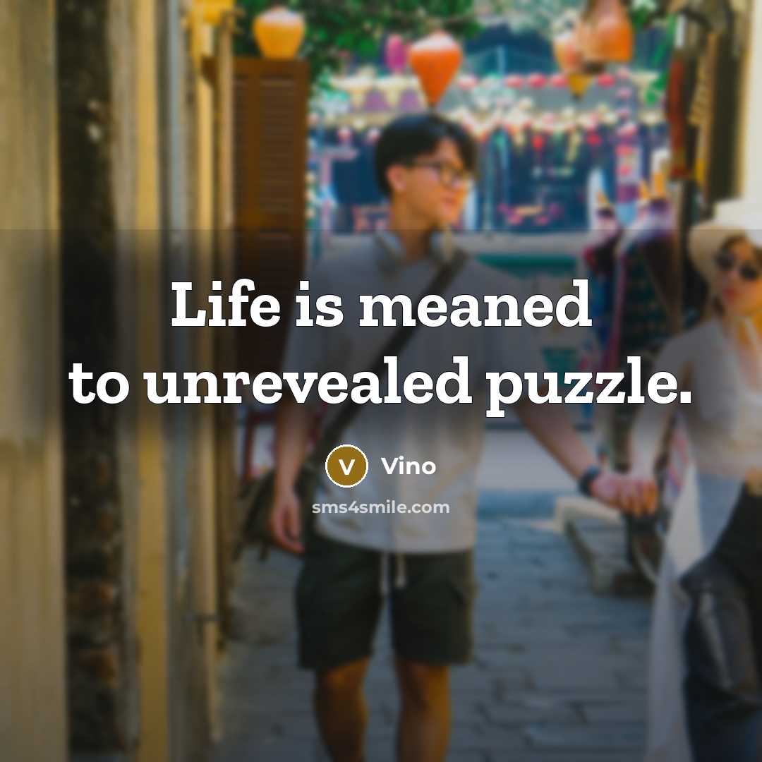 “Life is meaned to unrevealed puzzle.” quote by Vino