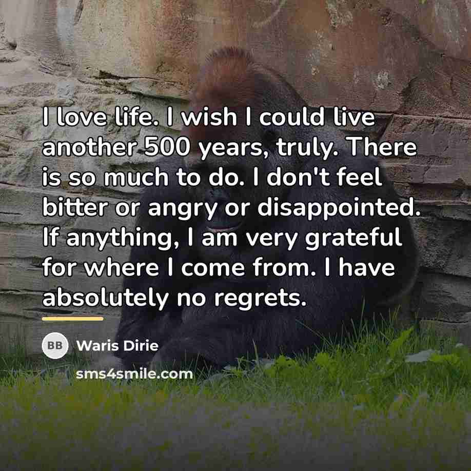 “I love life. I wish I could live another 500…” quote by Waris Dirie