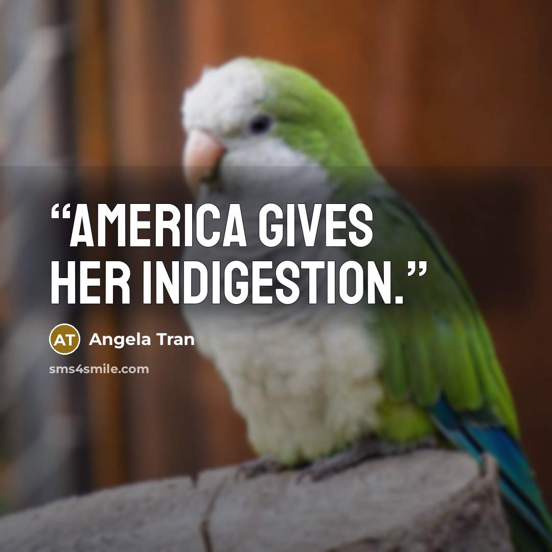 “America gives her indigestion.” quote by Angela Tran