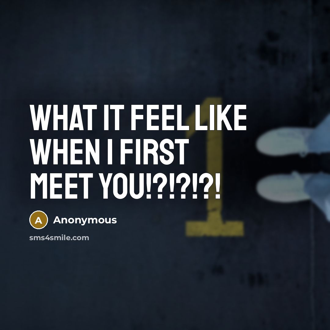 “What it feel like when I first meet you!?!?!?!…” quote by Anonymous