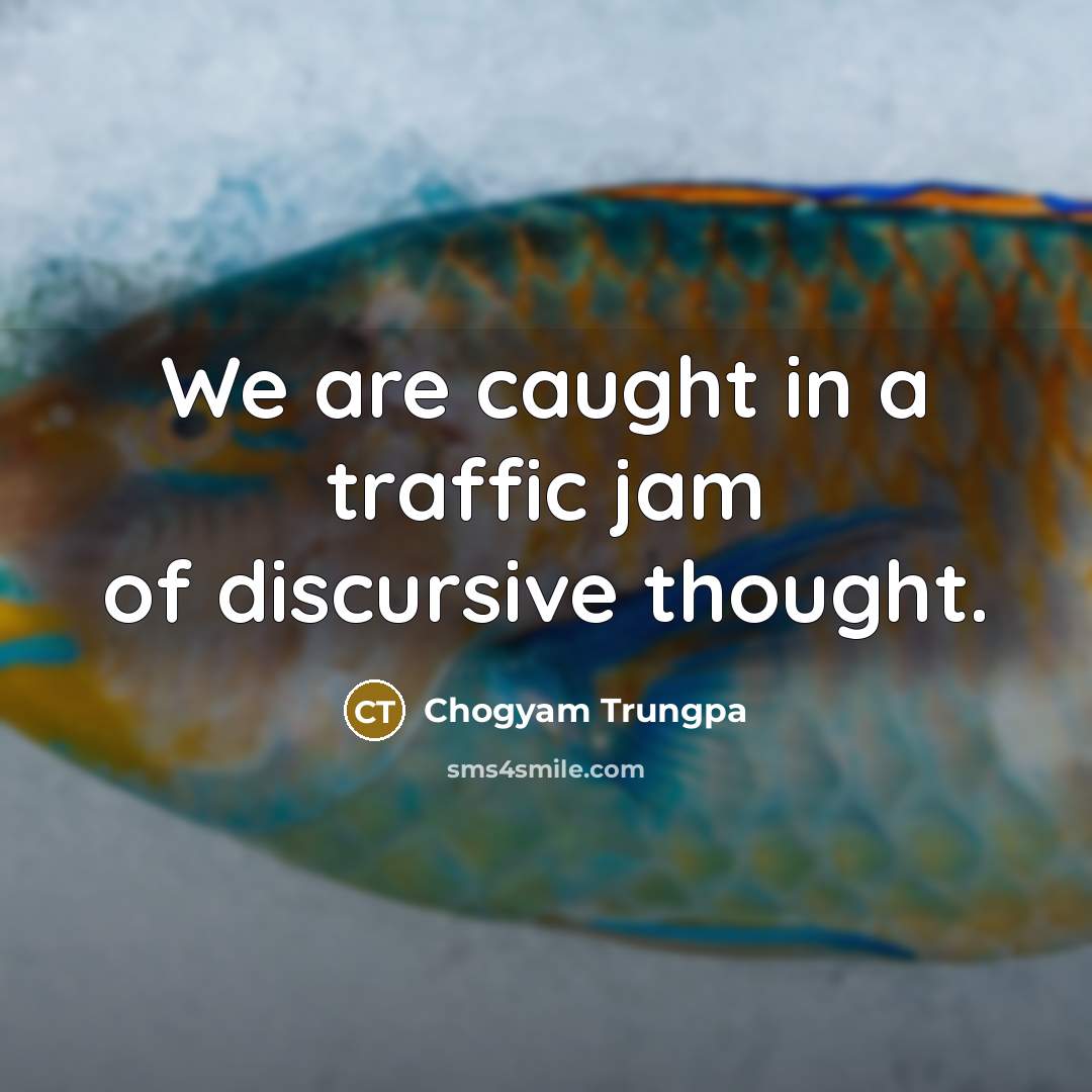 “We are caught in a traffic jam of discursive thought.…” quote by Chogyam Trungpa