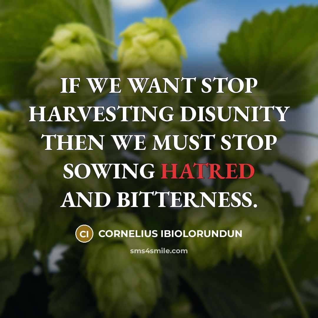 “IF WE WANT STOP HARVESTING DISUNITY THEN WE MUST STOP…” quote by CORNELIUS IBIOLORUNDUN