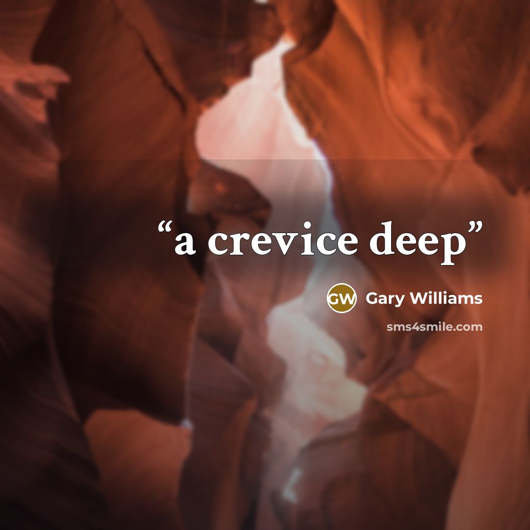 “a crevice deep” quote by Gary Williams