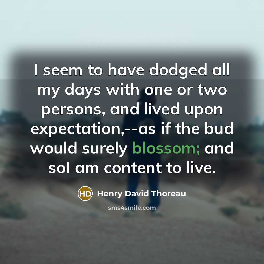 “I seem to have dodged all my days with one…” quote by Henry David Thoreau