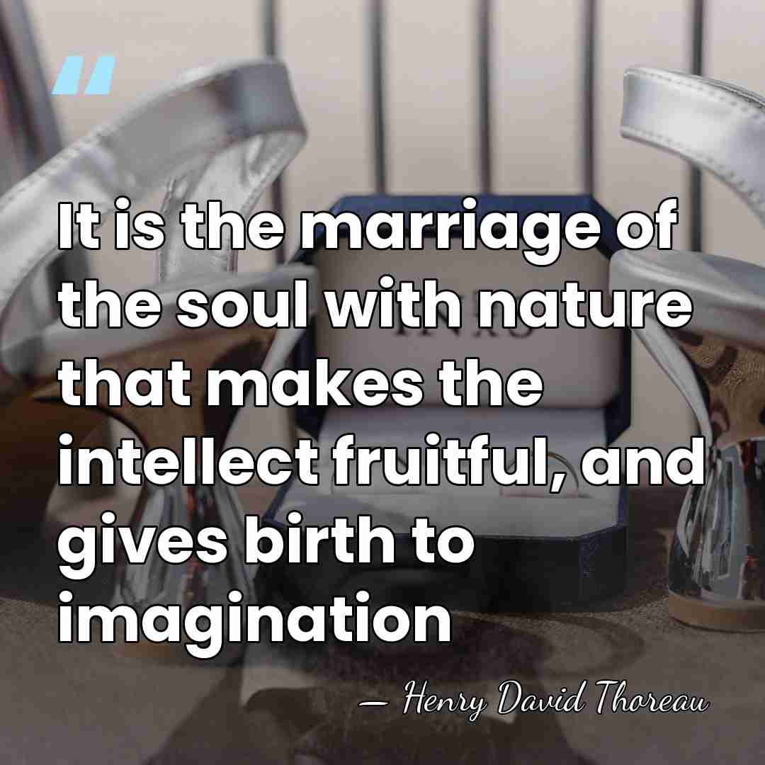 It is the marriage of the soul with nature that makes the&hellip; - Henry David Thoreau