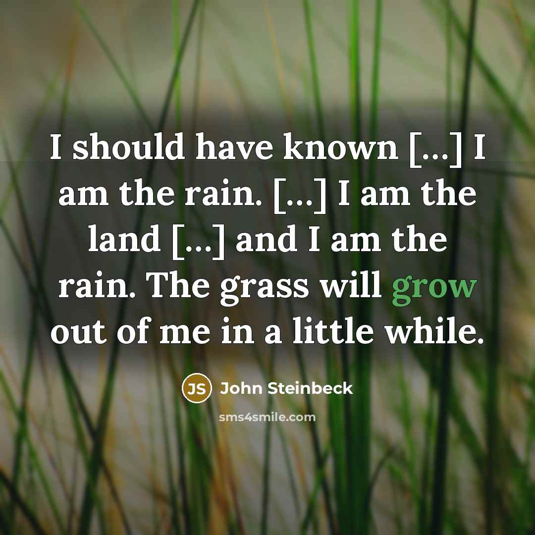 “I should have known […] I am the rain. […]…” quote by John Steinbeck