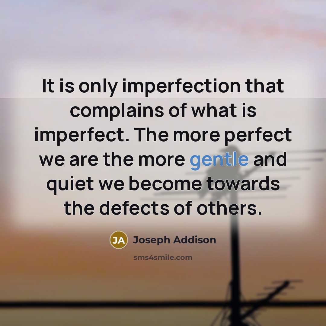 “It is only imperfection that complains of what is imperfect.…” quote by Joseph Addison