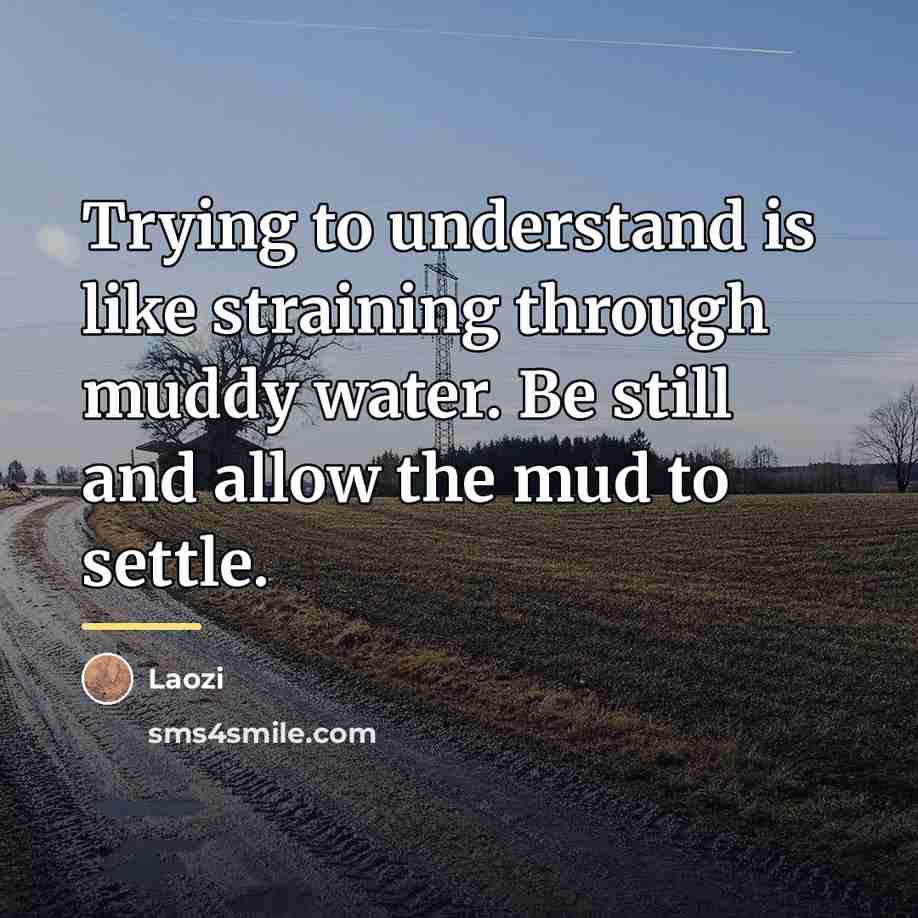 “Trying to understand is like straining through muddy water. Be…” quote by Laozi