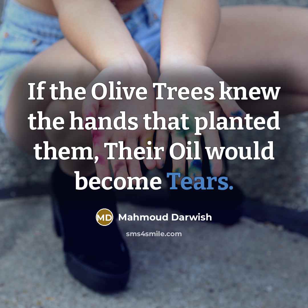 “If the Olive Trees knew the hands that planted them,…” quote by Mahmoud Darwish