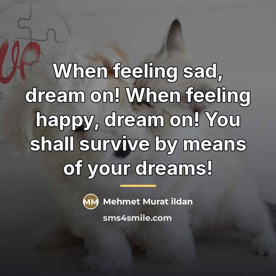 “When feeling sad, dream on! When feeling happy, dream on!…” quote by Mehmet Murat Ildan