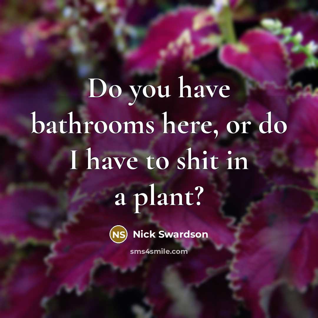 “Do you have bathrooms here, or do I have to…” quote by Nick Swardson