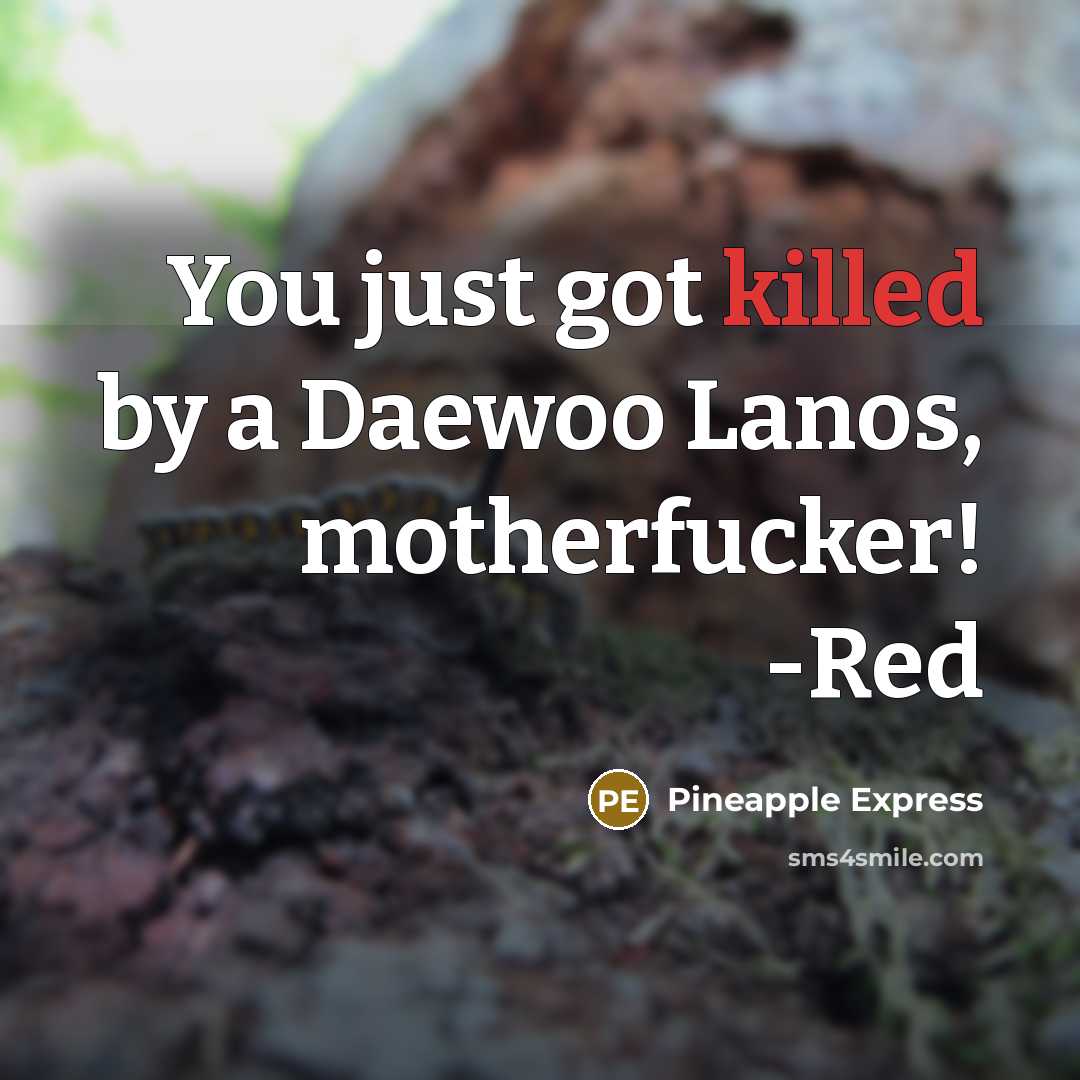 “You just got killed by a Daewoo Lanos, motherfucker! -Red…” quote by Pineapple Express