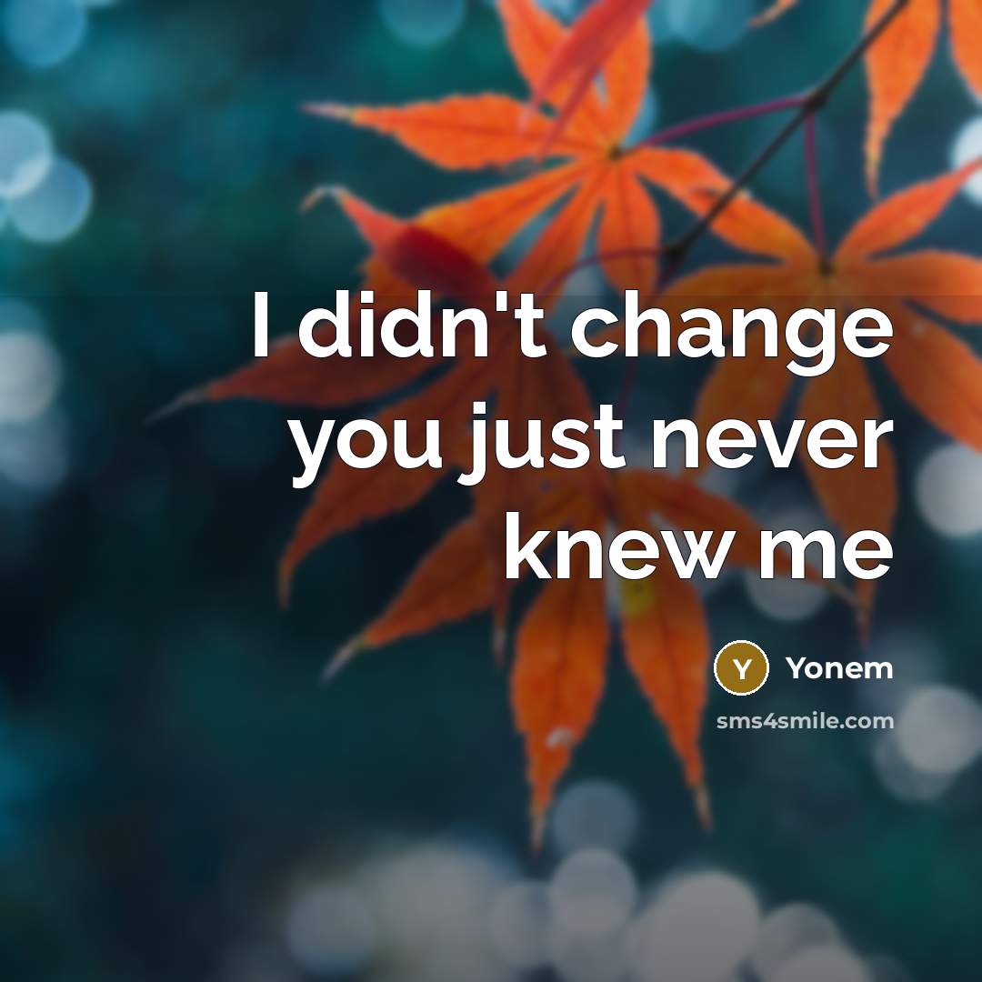 “I didn't change you just never knew me…” quote by Yonem
