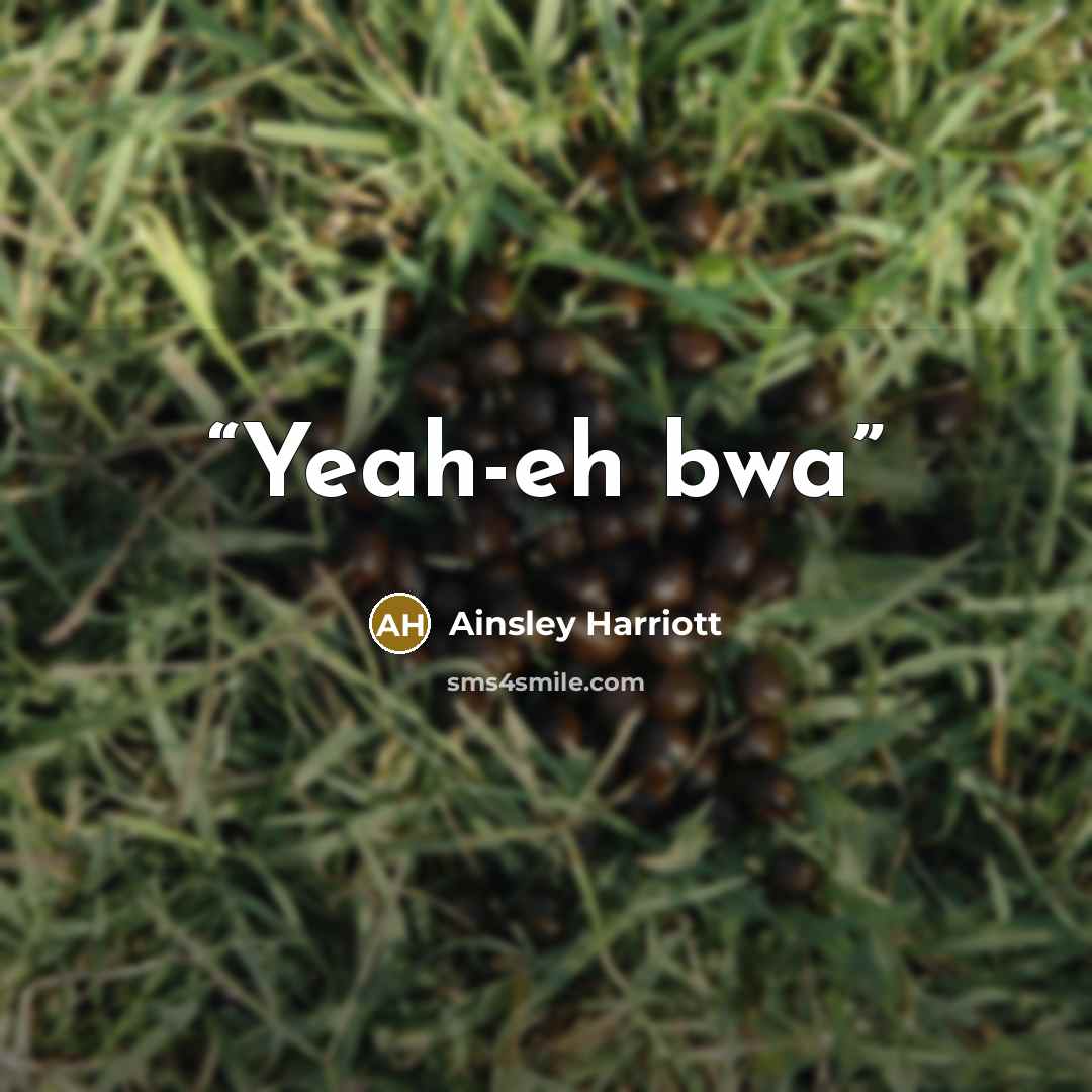 “Yeah-eh bwa” quote by Ainsley Harriott