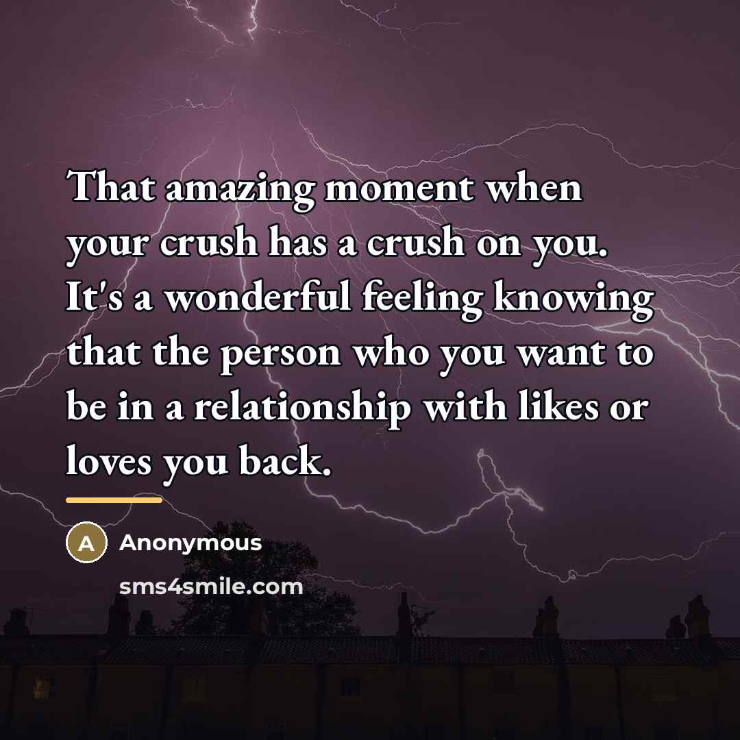 “That amazing moment when your crush has a crush on…” quote by Anonymous