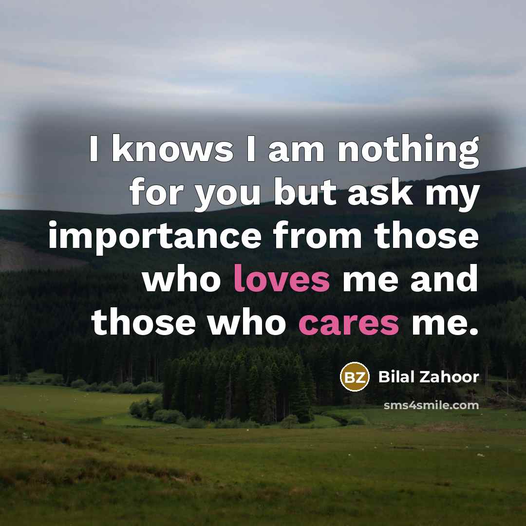 “I knows I am nothing for you but ask my…” quote by Bilal Zahoor