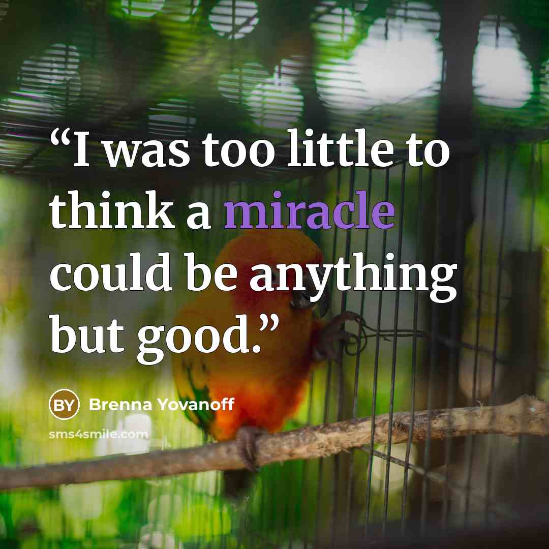 “I was too little to think a miracle could be anything but good.” quote by Brenna Yovanoff