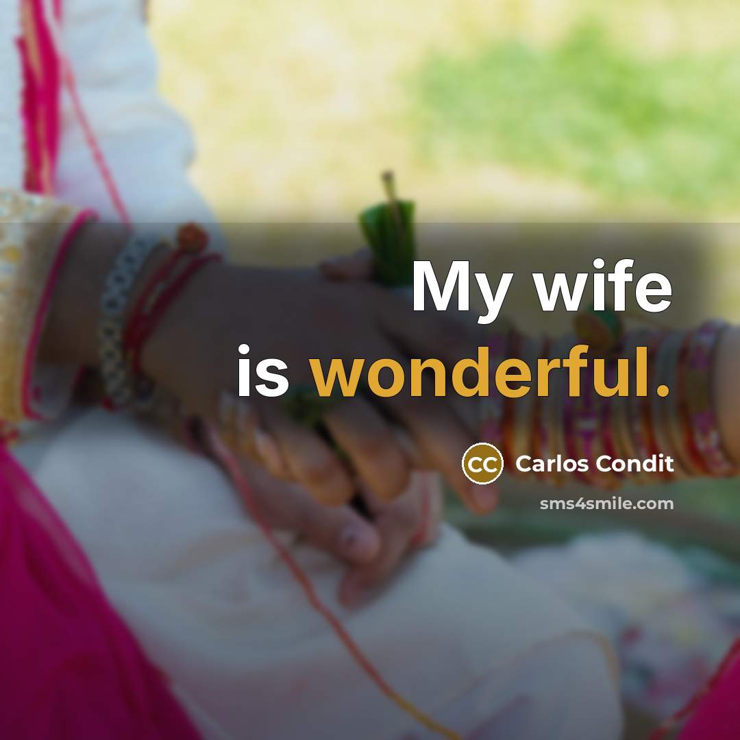 “My wife is wonderful.…” quote by Carlos Condit